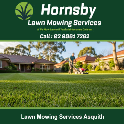 Expert lawn care specialist using commercial mower on Asquith NSW property