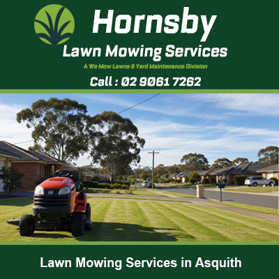 Red lawn mower on freshly cut striped grass at residential property in Asquith NSW