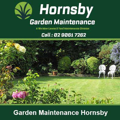 Beautiful landscaped backyard garden in Hornsby