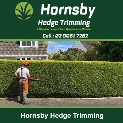 Worker using hedge trimmer on a tall hedge in Hornsby