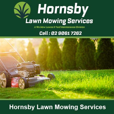 Lawn mower cutting grass in Hornsby