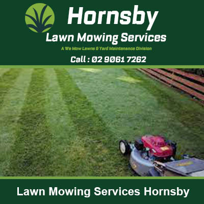Red lawn mower on a freshly cut green lawn in Hornsby