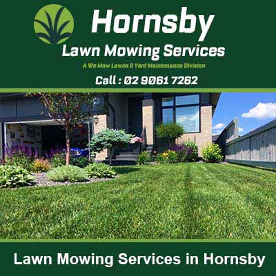 Professional lawn with striped mowing pattern in Hornsby