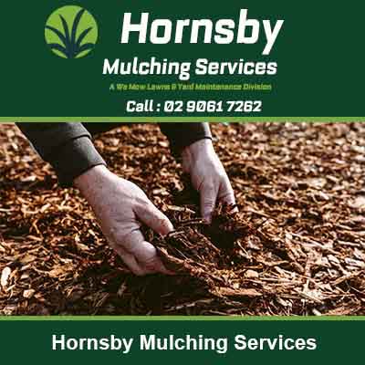 Hands planting a seedling in wood chip mulch in Hornsby