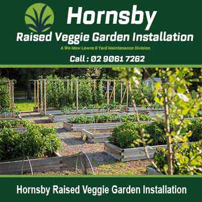 Organized raised vegetable garden beds in Hornsby