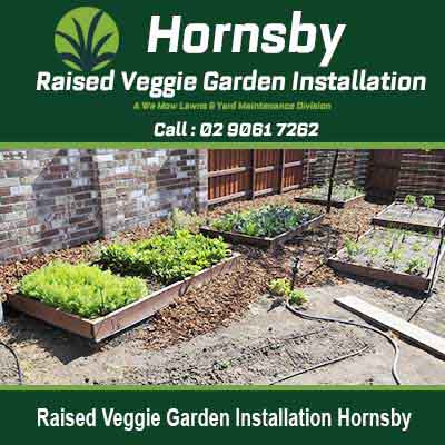 Wooden raised garden beds in Hornsby
