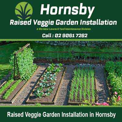 Wooden raised garden beds with various vegetables in Hornsby