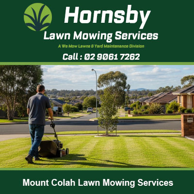 Professional lawn mowing service creating striped patterns on residential property in Mount Colah NSW