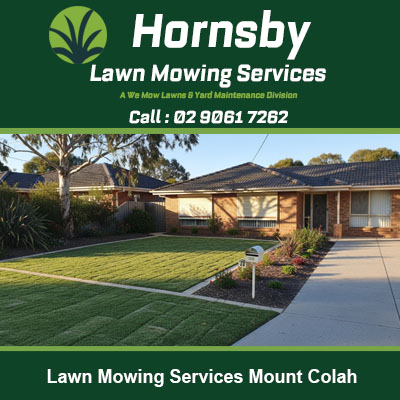 Freshly mowed front lawn with professional striped finish at Mount Colah NSW residence