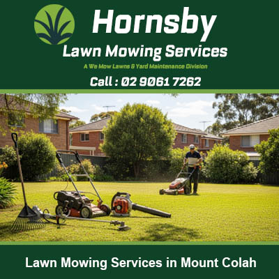 Quality lawn care services maintaining beautiful striped lawn at Mount Colah NSW property